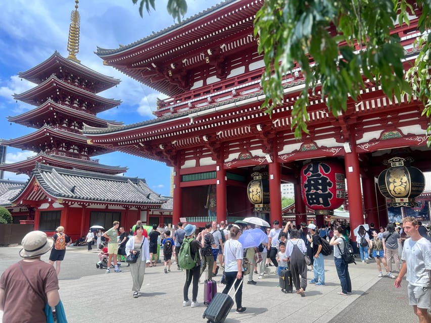 Tokyo: Meiji Jingu Shrine and Shinto Culture Walking Tour - Starbucks near Harajuku, and why your meeting spot matters