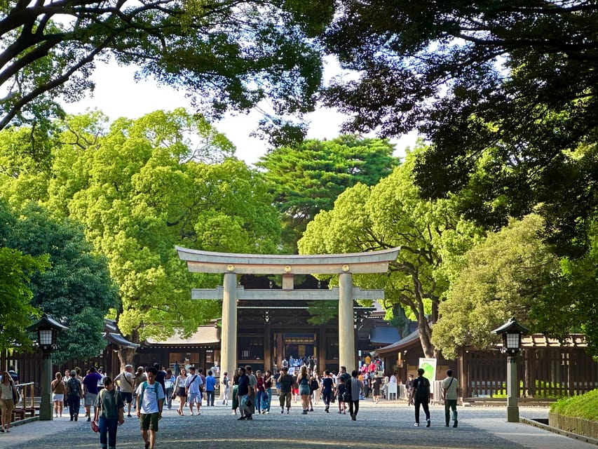Tokyo: Meiji Jingu Shrine and Shinto Culture Walking Tour - Group vibe: small numbers, more conversation, easier photos