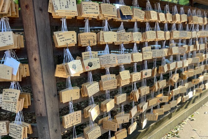 Tokyo: Meiji Shrine and Shinto Culture Walking Tour - What a 2-hour experience really gives you (and what it cannot)