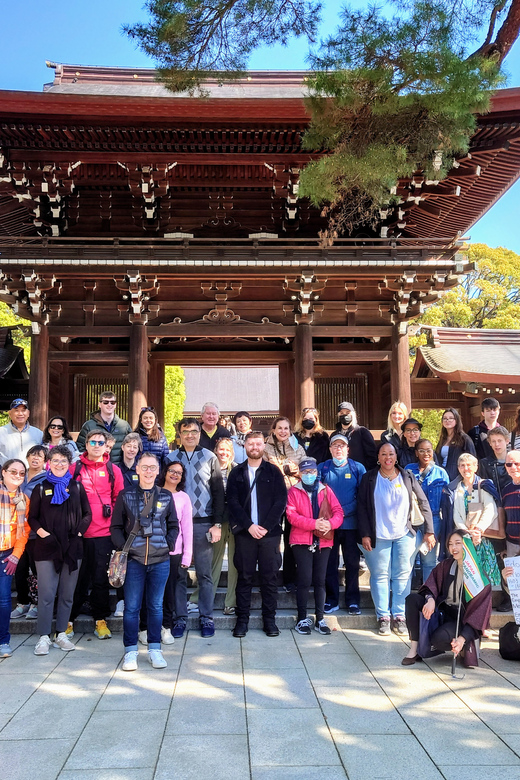 Tokyo: Meiji Shrine, Asakusa, Skytree Bus Tour and Cruise - Who this tour suits best, and who should think twice