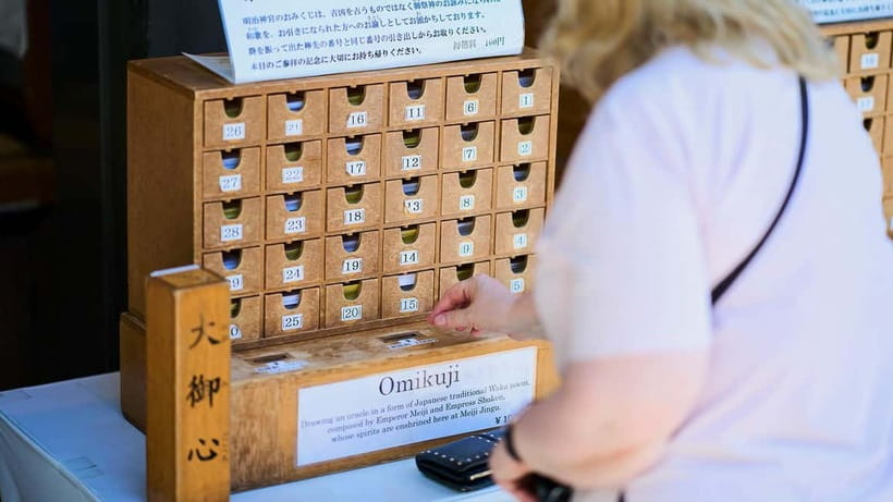 Tokyo: Meiji Shrine Walking Tour - Shinto & Imperial System - Who this tour is best for, and who might want a different plan