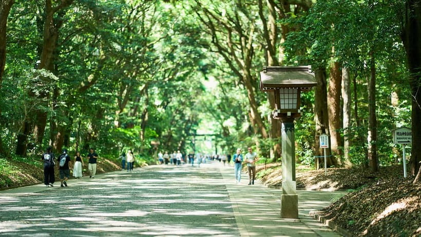 Tokyo: Meiji Shrine Walking Tour — Shinto & Imperial System - The small-group format and route timing that actually matter