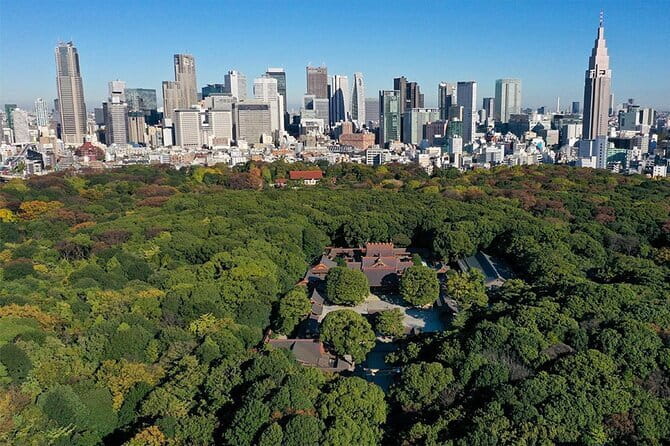 Tokyo: Meiji Shrine Walking Tour - Shintoism & Imperial System - Meiji Shrine, Torii Gates, and Shinto Basics on a 90-Minute Walk