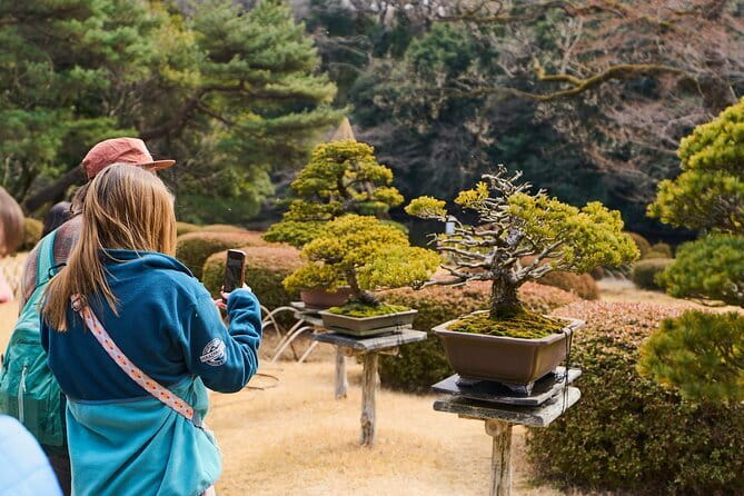 Tokyo: Meiji Shrine Walking Tour — Shintoism & Imperial System - Stop by Stop: Harajuku Gate, Giant Torii, and the Purification Moment