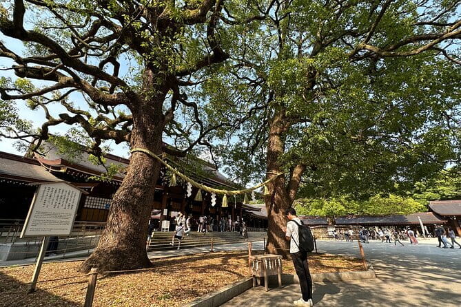 Tokyo Morning Tour : Meiji Shrine, Asakusa and Fish Market - What you get for $72.67: guide time, photos, and free admissions