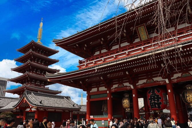 Tokyo Morning Tour : Meiji Shrine, Asakusa and Fish Market - Should you book this Tokyo Morning Tour?