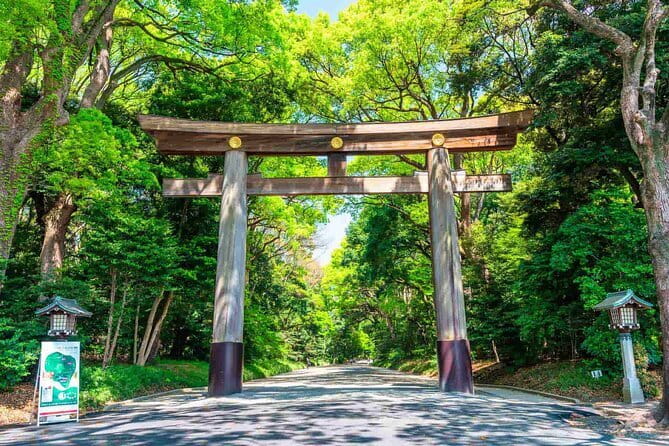 Tokyo Morning Tour : Meiji Shrine, Asakusa and Fish Market - Start at IKEA Sweden Cafe in Harajuku, then walk into Meiji Jingu’s calm