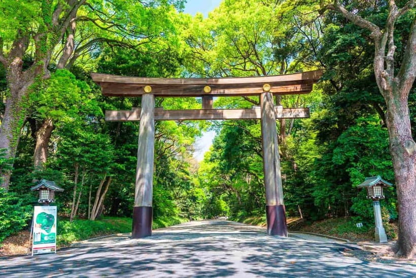 Tokyo Morning Tour: Meiji Shrine, Asakusa & Fish Market - Meiji Jingu Shrine: calm Shinto mood and what your guide points out