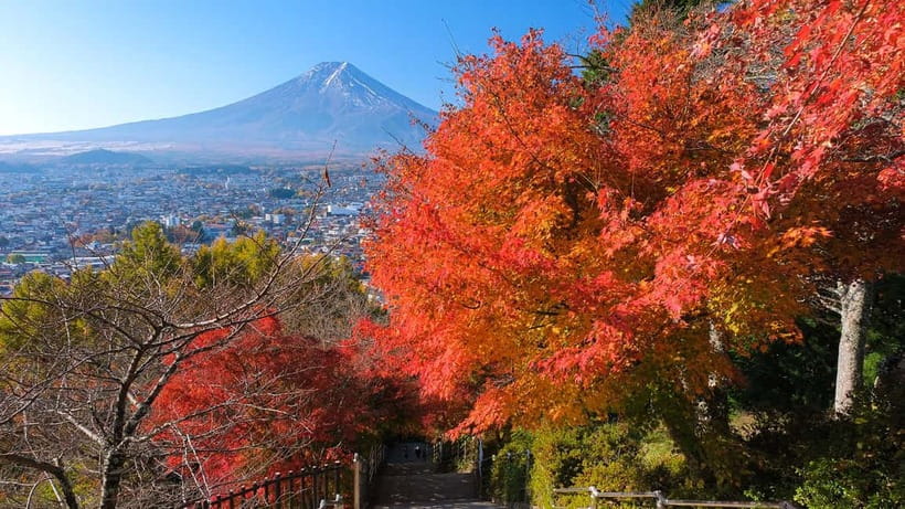 Tokyo: Mount Fuji 5th Station & Onsen Day Trip - Who this day trip fits best