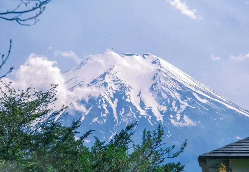 Tokyo: Mount Fuji 5th Station & Onsen Day Trip - Getting from Tokyo to the Fuji area by bus, and why it matters