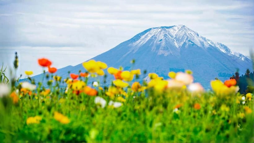 Tokyo: Mount Fuji 5th Station & Onsen Day Trip - Shintaku-yama Asama Park, a Fuji postcard stop when 5th Station is closed