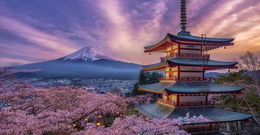 Tokyo: Mount Fuji & Hakone Private Tour with Guide - Key highlights you should care about