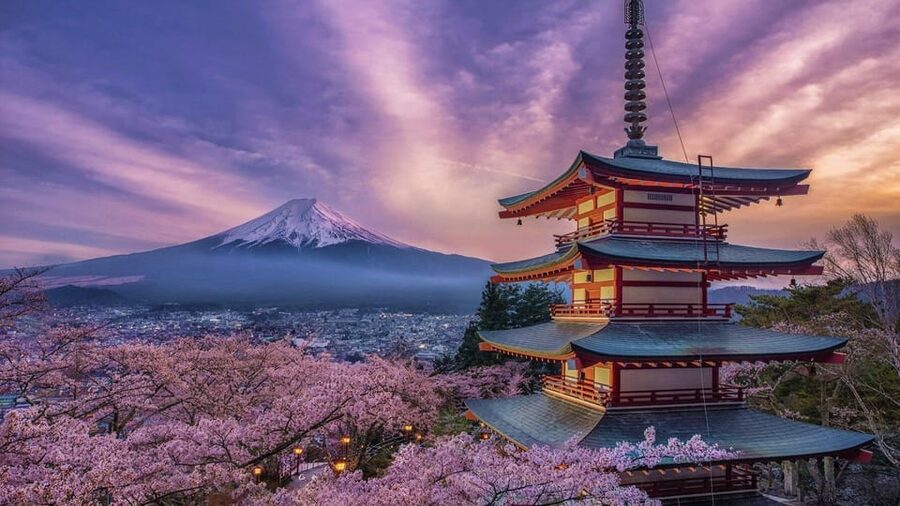 Tokyo: Mount Fuji & Hakone Private Tour with Guide - A Private 10-Hour Day Trip With Real Tokyo Convenience
