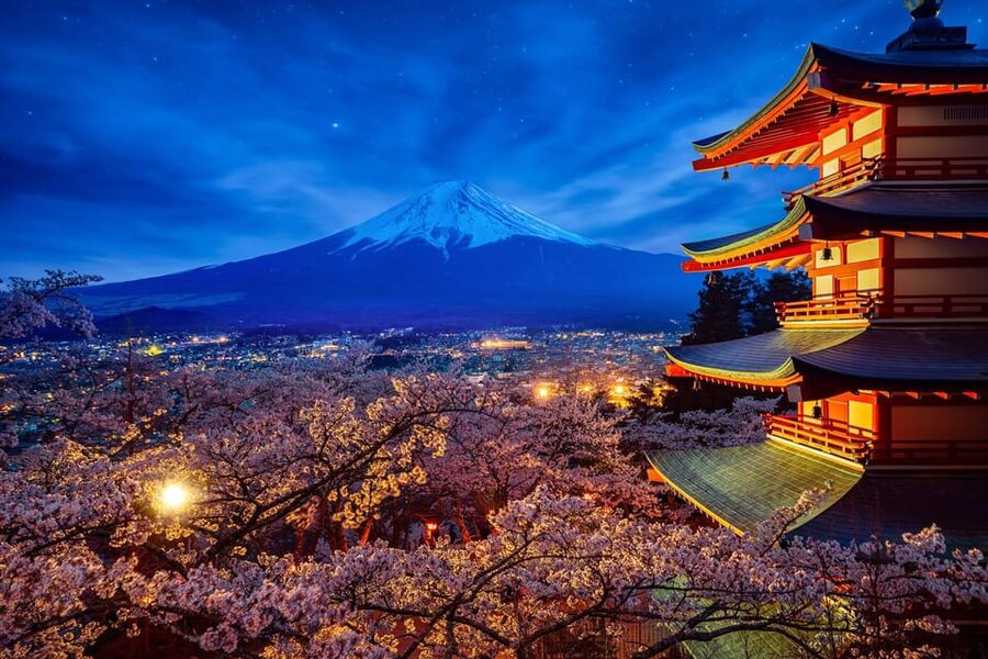 Tokyo: Mount Fuji & Hakone Private Tour with Guide - Oshino Hakkai: Snowmelt Ponds, Street Snacks, and a Simple Lunch Plan