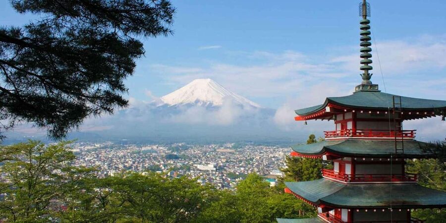 Tokyo: Mount Fuji Private Tour with Scenic Lunch Experience - A Private Fuji Day That Feels Like Your Own Road Trip