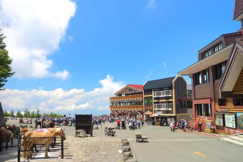 Tokyo: Mt. Fuji 5th St, Gotemba & Hakone by Luxury Bus - Price and Logistics: The Real Deal at $93