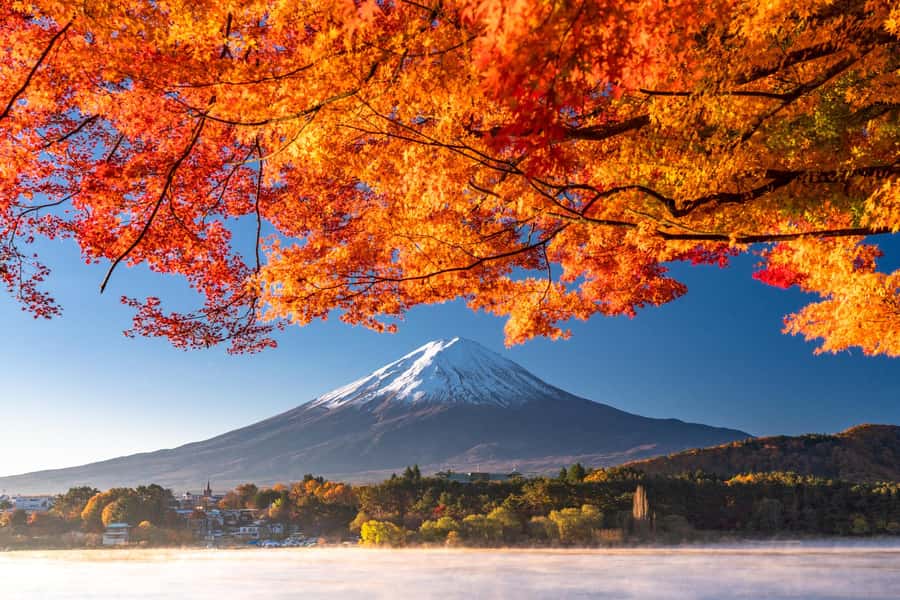 Tokyo: Mt. Fuji 5th Station, Kawaguchiko Tour w/ Cable Car - Key Things I’d Watch for on This Trip