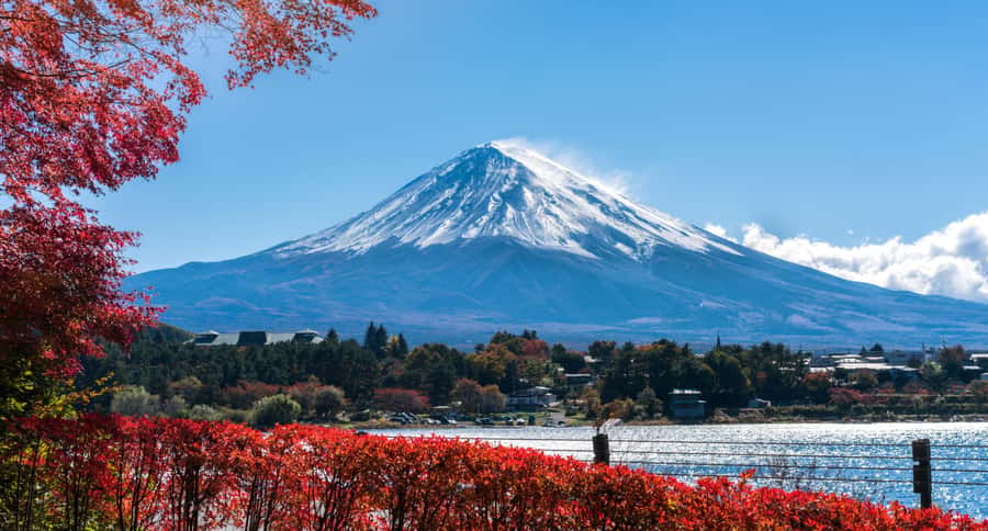 Tokyo: Mt. Fuji 5th Station, Kawaguchiko Tour w/ Cable Car - When the 5th Station Is Closed: Fuji Heritage Center or Oshino Hakkai