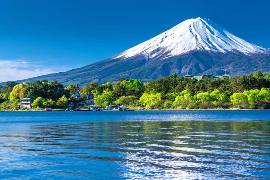 Tokyo: Mt. Fuji 5th Station, Kawaguchiko Tour w/ Cable Car - Transportation, Timing, and the Long Ride Factor