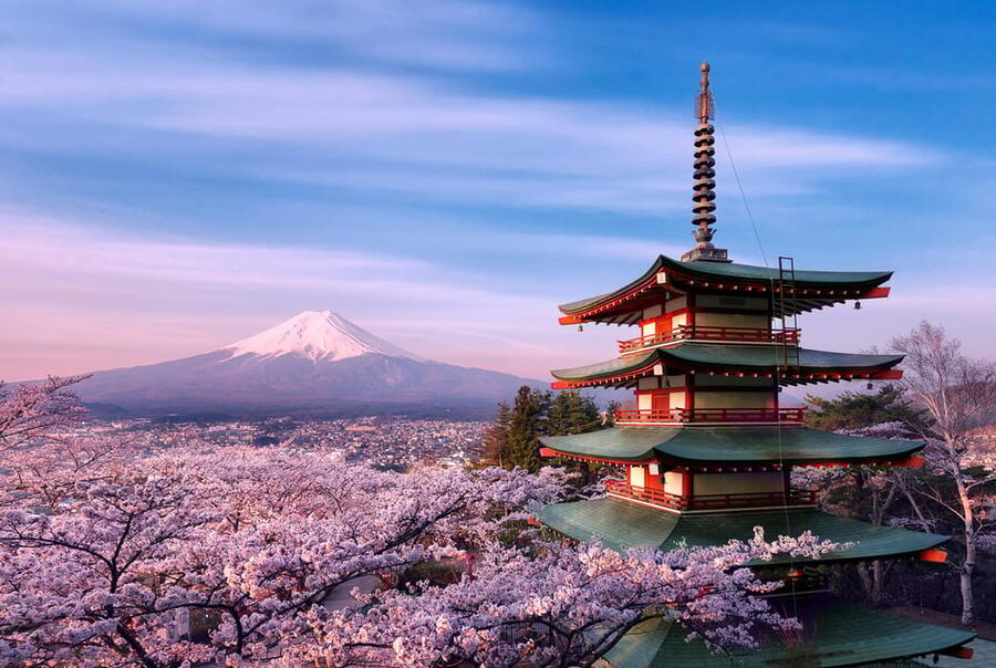 Tokyo:Mt Fuji & Hakone Day Tour with English Speaking Driver - Fuji shrines and Chureito Pagoda: the photo hotspots with real time to breathe