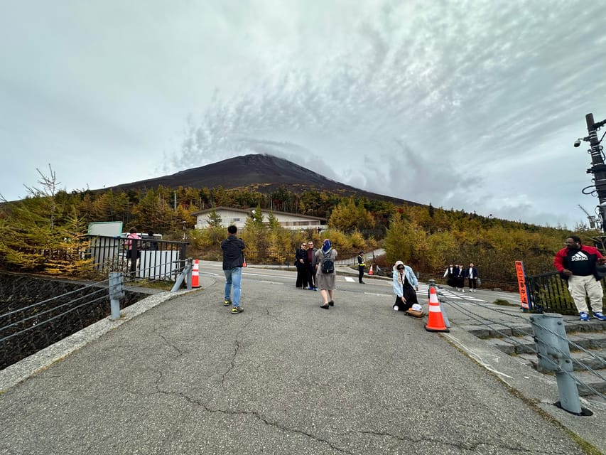 Tokyo:Mt Fuji & Hakone Day Tour with English Speaking Driver - Oishi Park for a slower Fuji moment, not just a quick stop