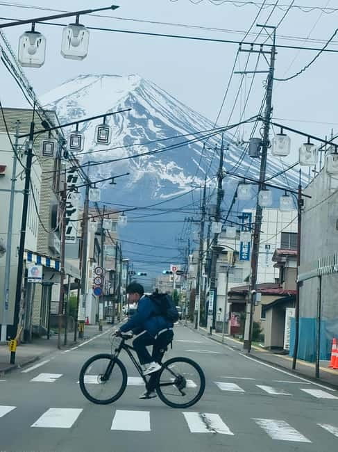 Tokyo: Mt. Fuji & Hakone Private Custom Tour English Driver - Price and Value: What $322 per Group Gets You