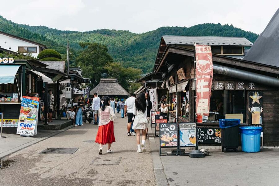 Tokyo: Mt. Fuji, Kamakura, Big Buddha, & Lake Ashi Day Trip - Price and value: what $49 gets you for a long day