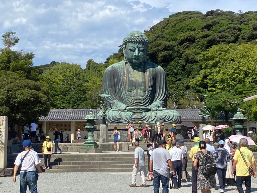 Tokyo: Mt. Fuji, Kamakura, Big Buddha, & Lake Ashi Day Trip - The guides and drivers: where the experience earns its high marks