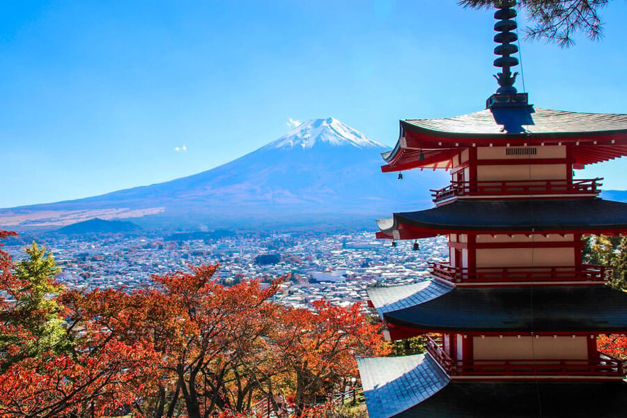 Tokyo:Mt.Fuji,Kawaguchiko Oishi Park,Arakurayama Sengen Park - Who this tour suits best, and who should rethink it