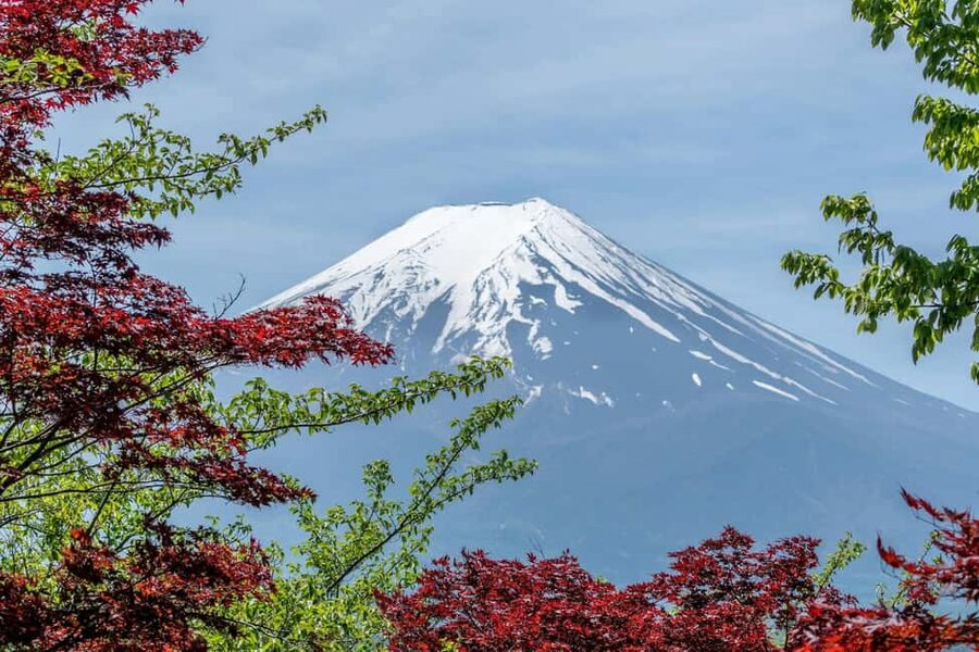 Tokyo: Mt. Fuji & Lake Kawaguchi Private Tour with Transfer - Fuji Sengen Shrine and the Spiritual Side of the Mountain