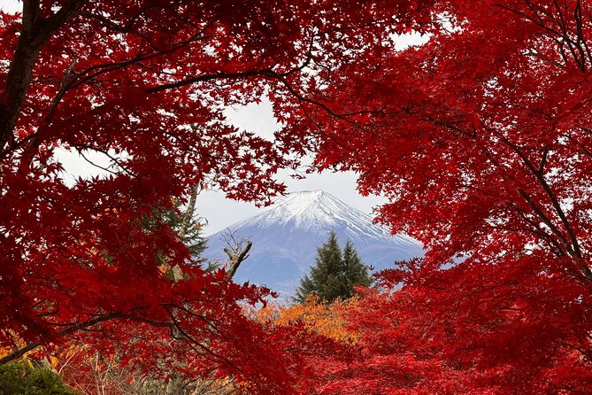 Tokyo: Mt.Fuji & Lake Kawaguchiko 1-Day Bus Tour w/Optional Lunch - Shinjuku pickup, mobile ticket, and how the day is paced