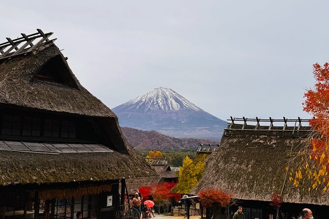 Tokyo: Mt.Fuji & Lake Kawaguchiko 1-Day Bus Tour w/Optional Lunch - Oishi Park flowers, Fuji reflections, and quick-photo strategy
