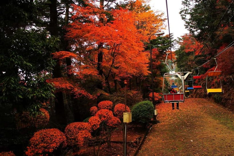 Tokyo: Mt Takao Tour with Ramen and Tattoo-Okay Hot Spring - Key things that make this tour worth your time