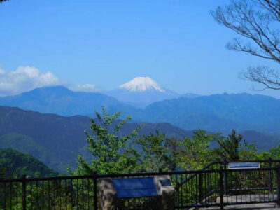 Mt Takao Tour with Ramen and Tattoo-Okay Hot Spring