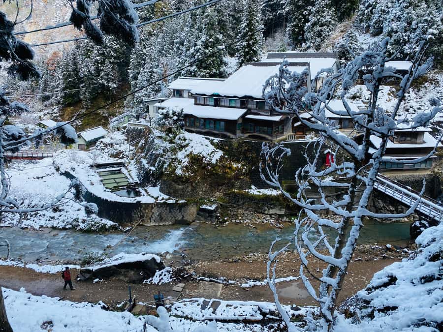 Tokyo/Nagano: private Tour with Snow Monkey Park & Temples - Key points to know before you go