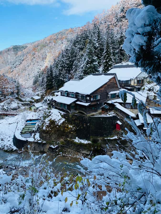 Tokyo/Nagano: private Tour with Snow Monkey Park & Temples - Kamakura Snow Dome Village and Yamanochi: winter scenery plus a safety-minded plan