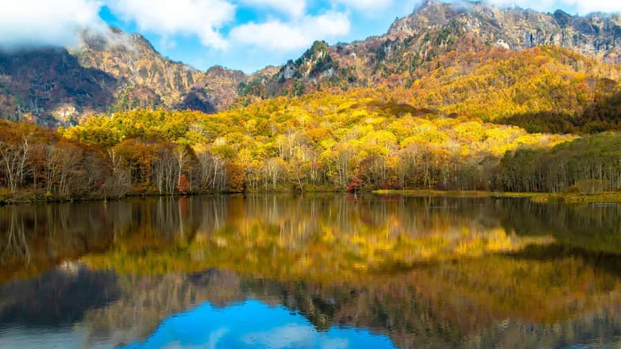 Tokyo/Nagano: private Tour with Snow Monkey Park & Temples - Private door-to-door logistics from Tokyo, and why the drive matters