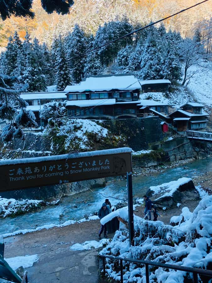 Tokyo/Nagano: private Tour with Snow Monkey Park & Temples - Zenko-ji Temple and Nakamise Street, where the day turns spiritual