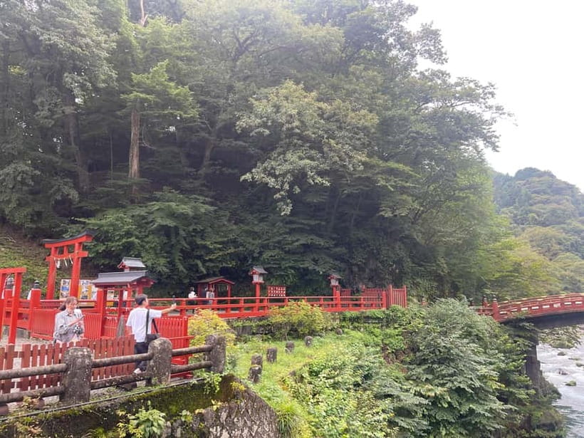 Tokyo: Nikko Private Customize Tour English Driver & Guide - Hotel pickup in Tokyo, and how to protect your start time