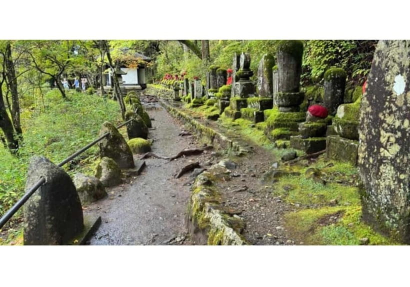Tokyo: Nikko World Heritage Private Day Trip Hotel Pick-up - Who should book this Nikko private day trip, and who should skip it