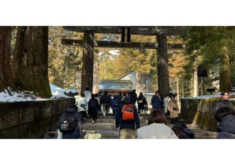 Tokyo: Nikko World Heritage Private Day Trip Hotel Pick-up - From your Tokyo hotel to Nikko, without the stress