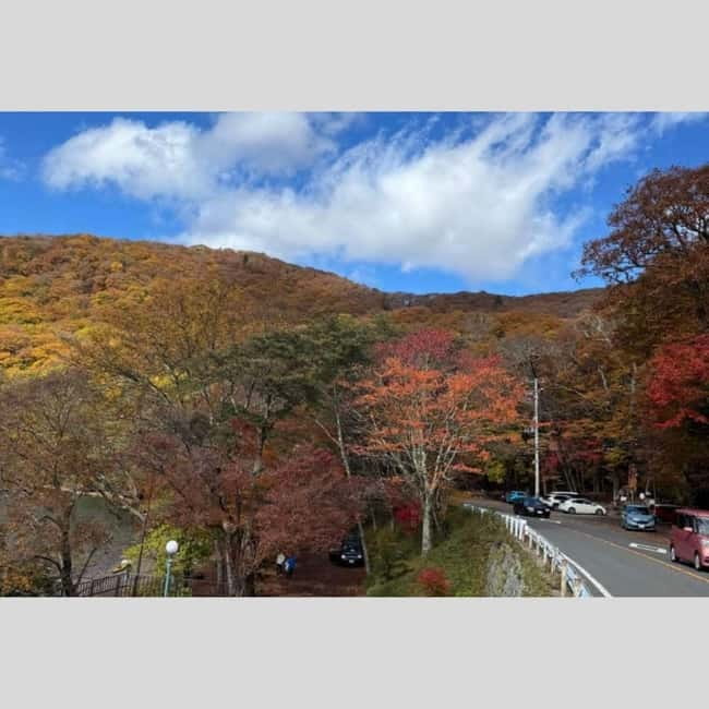 Tokyo: Nikko World Heritage Private Day Trip Hotel Pick-up - Toshogu Shrine: Tokugawa Ieyasu and the colorful carvings