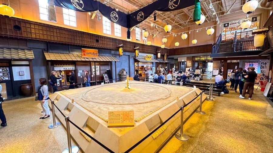 Tokyo: Not a show- a professional sumo practice with experts - Who this tour suits best (and who might want a different option)