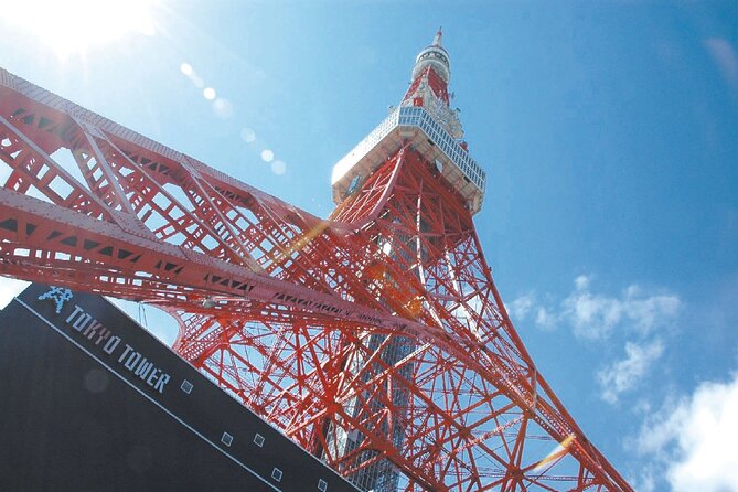 Tokyo Panoramic 1 Day: Meiji Shrine, Asakusa, Odaiba and SKYTREE® - Meiji Jingu: a shrine walk that resets your day