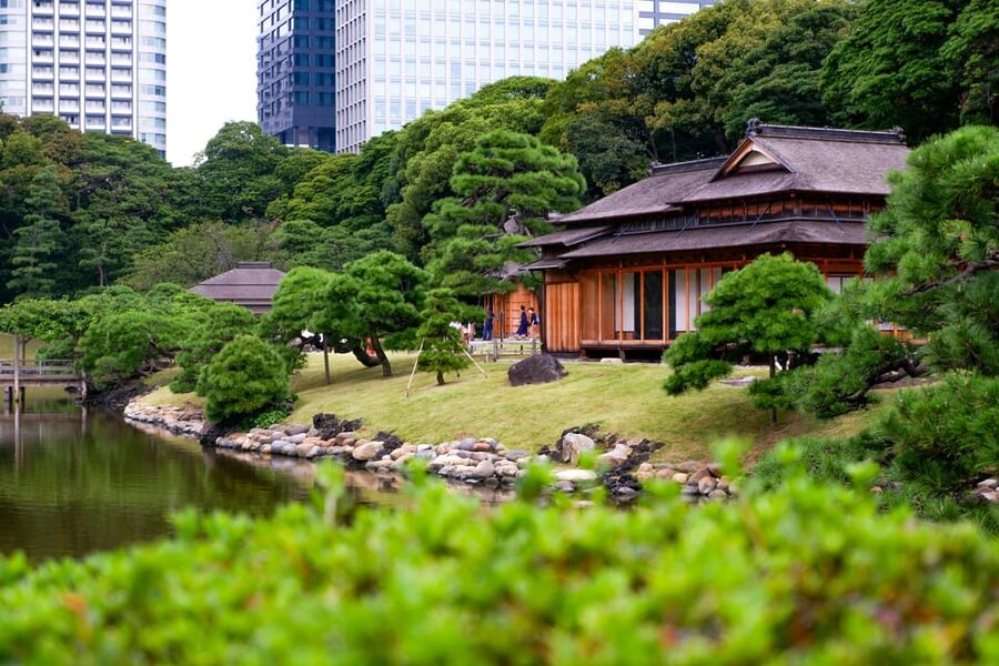 Tokyo: Personalized Private 6-Hour Tour - Meiji Shrine: A Forest-Quiet Start You Will Appreciate