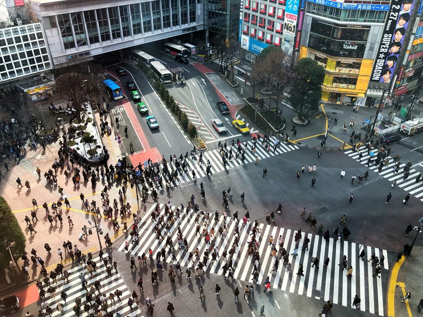 Tokyo: Personalized Private 6-Hour Tour - Optional Tokyo Add-Ons Your Guide Can Slot In