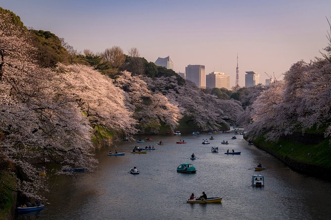 Tokyo Photography Masterclass - Private Photography Lesson - Shibuya Start Point: Hachiko Statue and Learning to Frame Fast