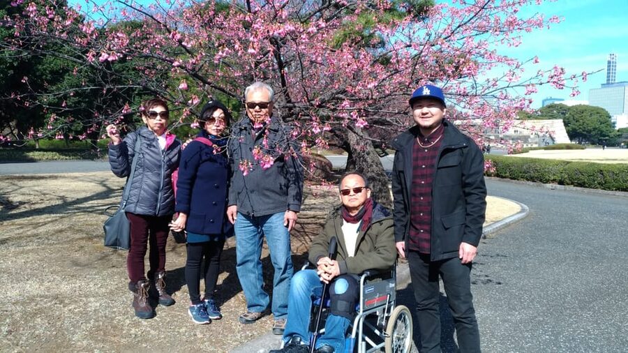 Tokyo: Private City Highlights Tour with Local Guide - Harajuku and Takeshita Street: Choose the Fun, Skip the Burnout