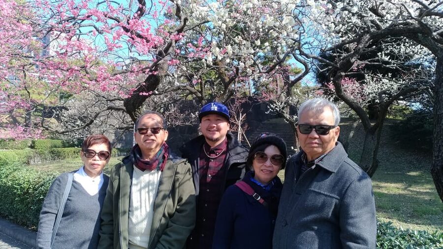 Tokyo: Private City Highlights Tour with Local Guide - Meiji Jingu Shrine: The Forest Reset Between Big Cities