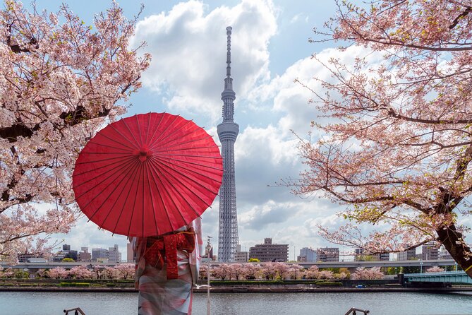 Tokyo Private Customizable Tour with English Speaking Chauffeur - Why a private Tokyo car day beats the train math